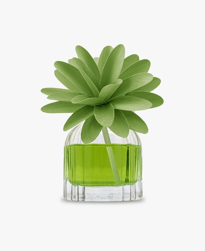 Profumatore ambienti 60ml Muhà Mosto selvatico Profumatore ambienti 60ml Muhà Mosto selvatico