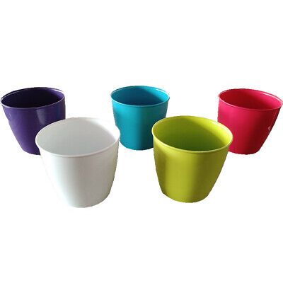 Vaso Academy Lux ø 11cm