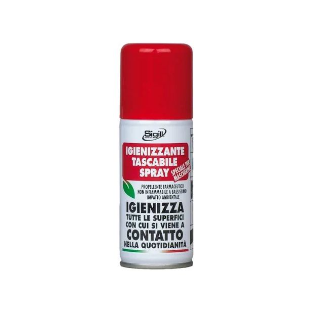 Igienizzante tascabile spray 100ml