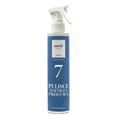 Pulitore Multiuso Spray 150ml Soffio Marino