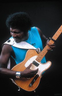 Albert Collins