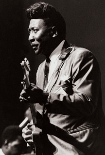 Muddy Waters