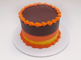 Fall Color Stripe Cake