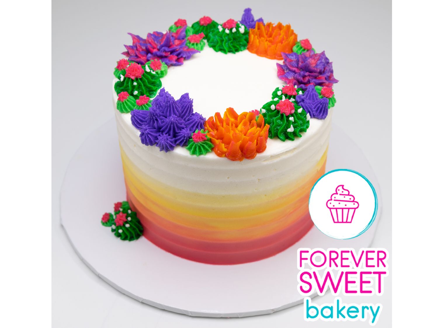 Succulent Ombre Cake