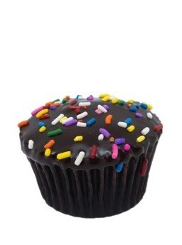 Chocolate Ganache Cupcake