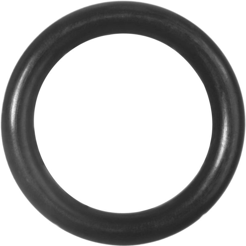 Trident LP Hose O-ring