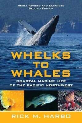 Whelks to Whales