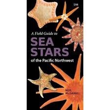 Field Guide to Sea Stars of the PNW