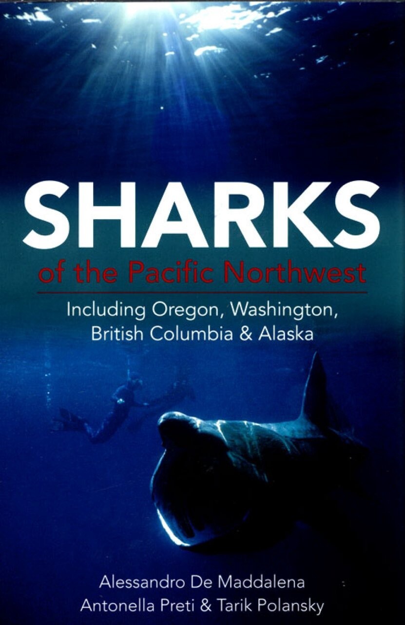 Sharks - Book