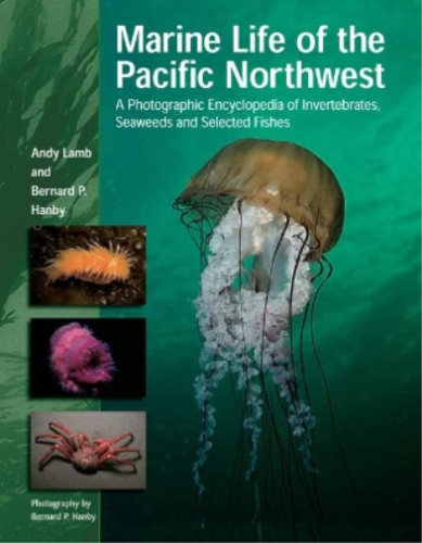 Marine Life of the Pacific Northwest