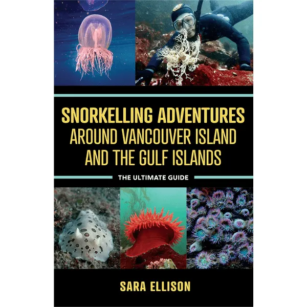 Snorkeling Adventures around Vancouver Island