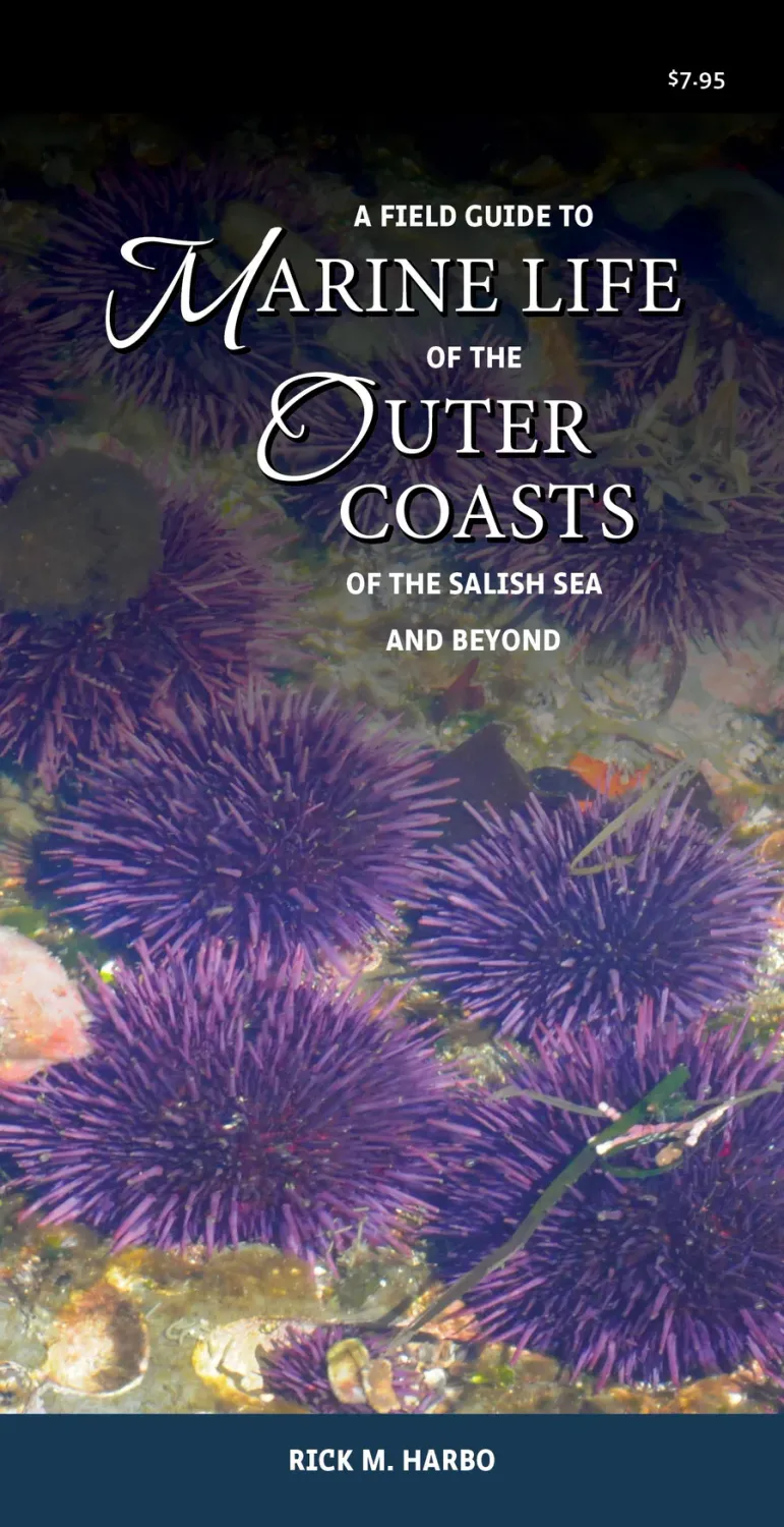 Field Guide to Marine Life of the Outer Coasts