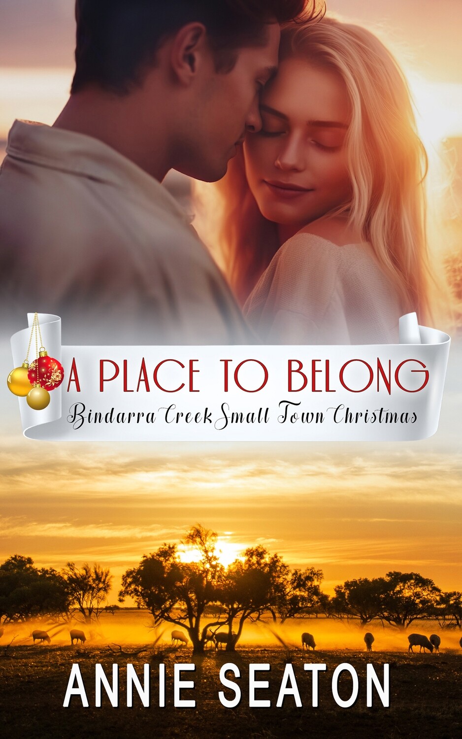 A Place to Belong - Preorder December 1 Release