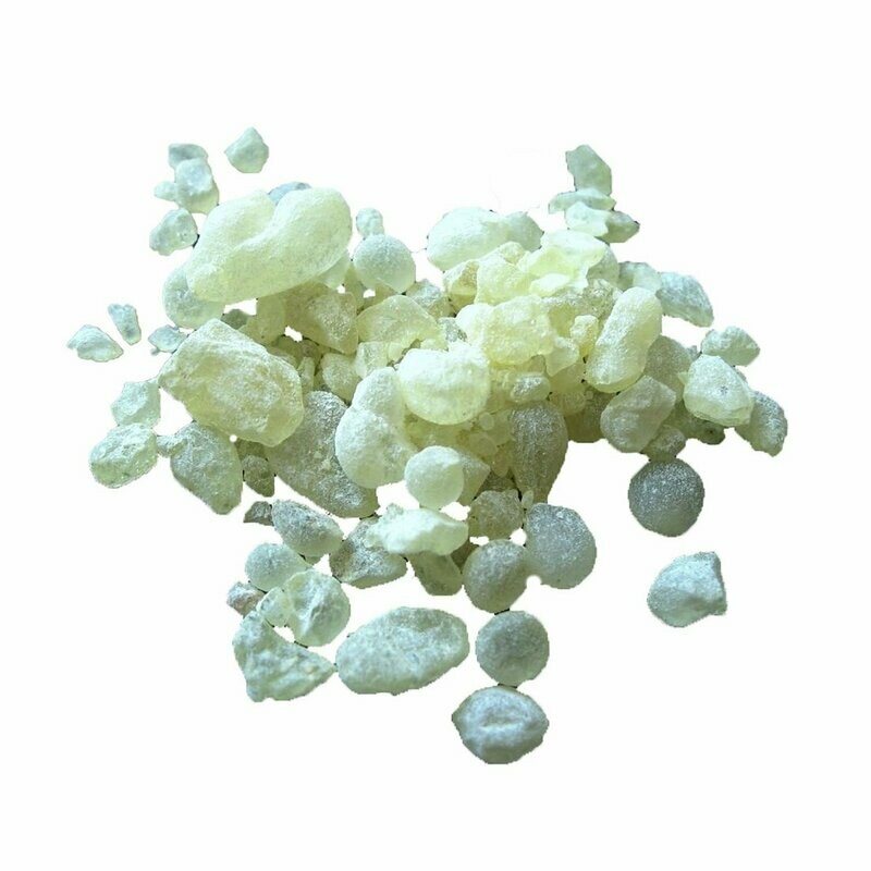 Chios Gum Tears (Mastic) 5g