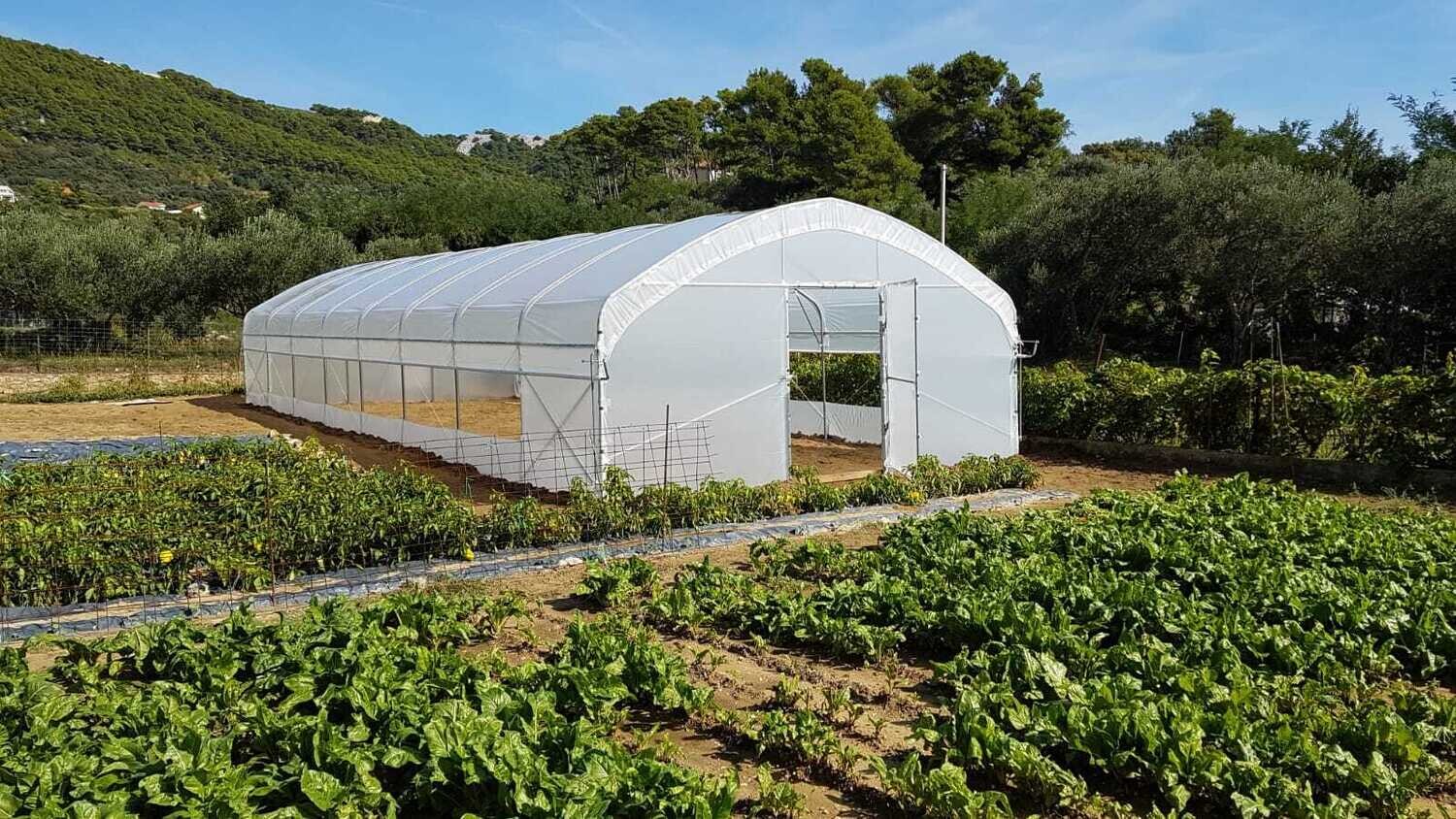 PROFI RASTLINJAK širine 6m x »dolžina po želji« +1x vrata + vse ojačitve