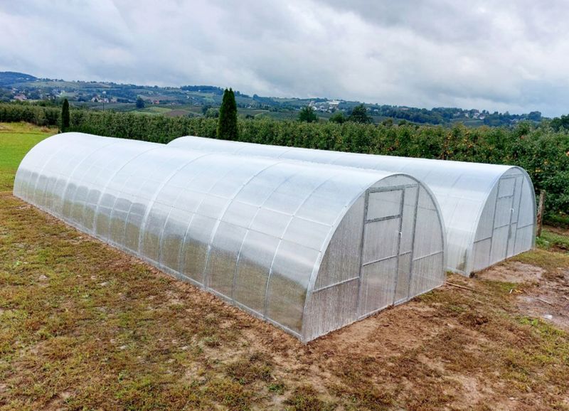 Rastlinjak OMEGA širine 3,5m - višina 2m - Z DOSTAVO - snežna obremenitev do 340kg/m2