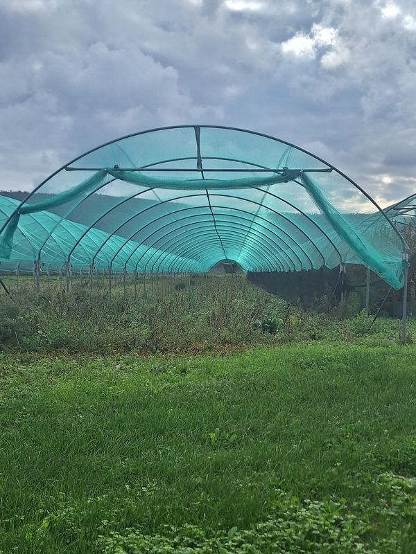 TOP KOVINSKA KONSTRUKCIJA + ZAŠČITNA MREŽA ZA ZAŠČITO VRTA širina 4,0 m - 4,8 m - dolžina po želji!