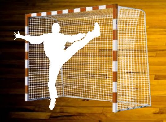 ROKOMETNI GOL - FUTSAL GOL - SAFEGOAL