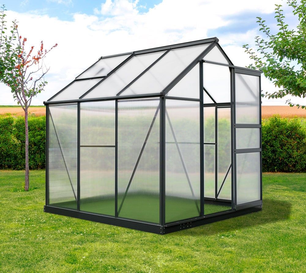 Antracit aluminijasti rastlinjak Flora 4 m² - 192 x 192 x 202 cm