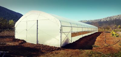 PROFI Rastlinjak širine 6 m (dolžina do 60m)