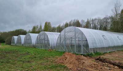 Rastlinjaki širine 7 m