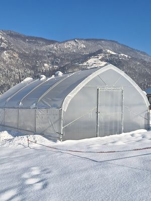 Rastlinjak TOP PROFI širine 5 m z bočnim odpiranjem