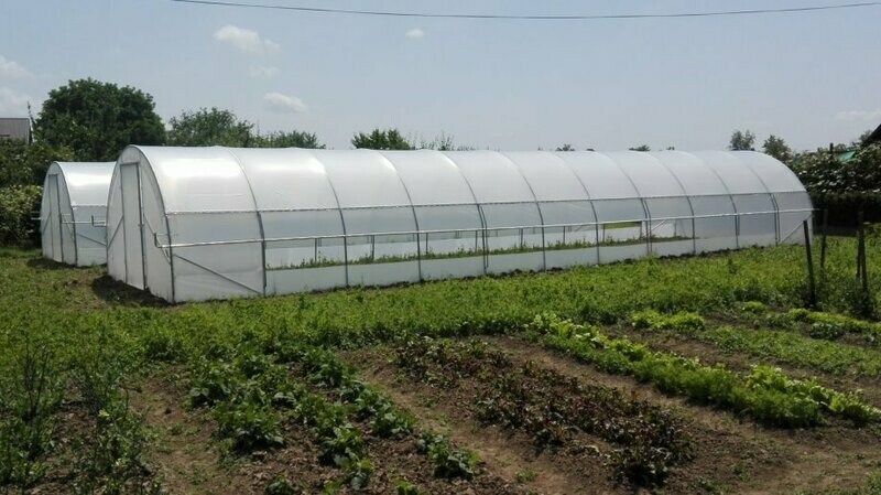 TOP Rastlinjak PROFI širine 4,5 m Z BOČNIM ODPIRANJEM