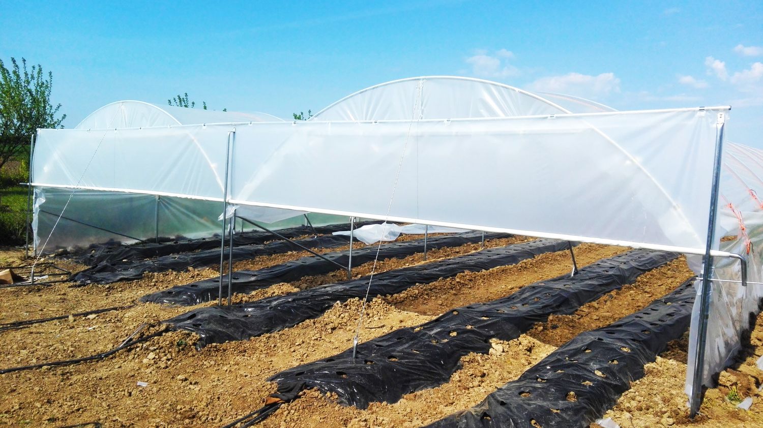 TOP Rastlinjak - TOP PROFI JAGODA - za profesionalne proizvajalce jagod - 2 Tunela 4,7 x 20 m