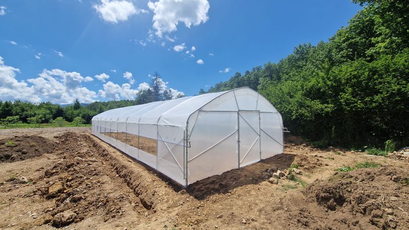 RASTLINJAK TOP PROFI širine 6m x »dolžina po želji« +1x vrata + vse ojačitve - enojna ali dvojna folija