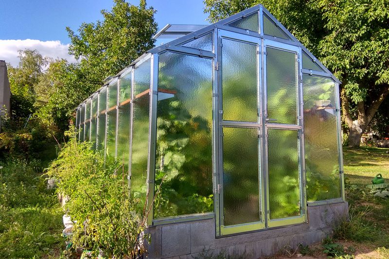 LIMES rastlinjak GLAS VARIANT J - steklo 4mm - širina 2,49m - več dolžin + žleb + dostava