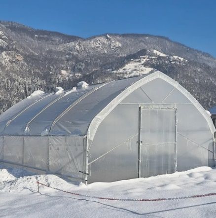 TOP MODEL 2025 Profi rastlinjak – Robustni rastlinjak širine 4,5 m, višina stranic 1,8 m – Idealen za hobi in profesionalne vrtnarje – Proizvodnja EU TOP MODEL 2025 Profi rastlinjak – Robustni rastlinjak širine 4,5 m, višina stranic 1,8 m – Idealen za hobi in profesionalne vrtnarje – Proizvodnja EU