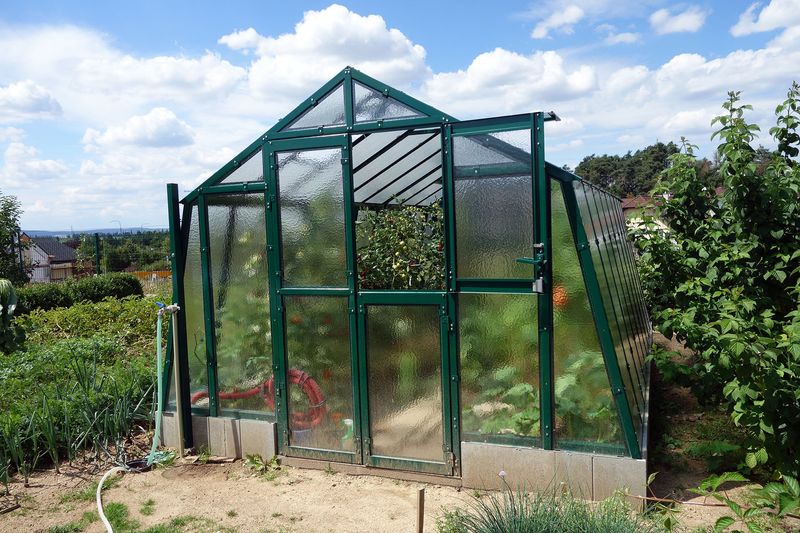 LIMES rastlinjak PRIMUS L - steklo 4mm - širina 3,03m
