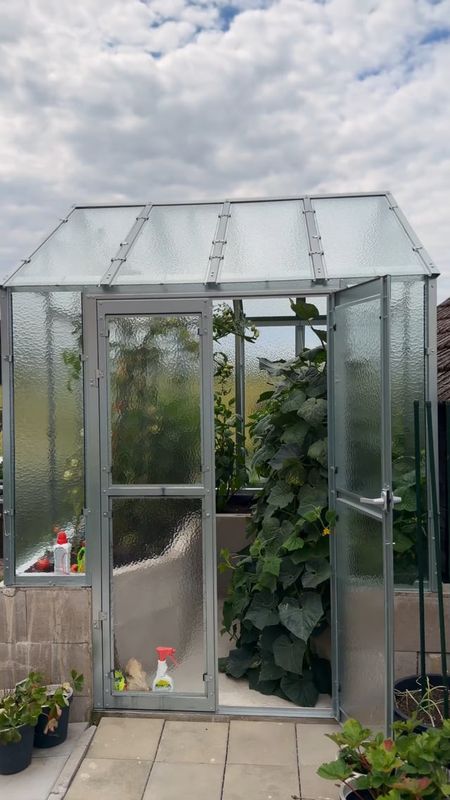 LIMES rastlinjak VERSO 3 - steklo 4mm - 2,49 x 3,05 m