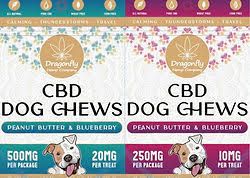 Dragonfly Dog Treats