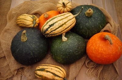 Winter Squash Combo Pack Winter Squash Combo Pack