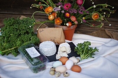 2023 Forrest Farm 14 week Full Farm subscription CSA 2023 Forrest Farm 14 week Full Farm subscription CSA