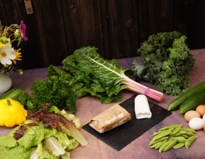 CSA (Community Supported Agriculture)