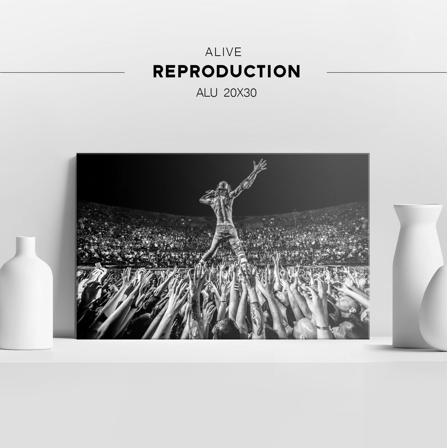 ​ALIVE - Reproduction sur Plexi