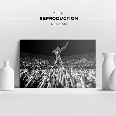​ALIVE - Reproduction sur Plexi