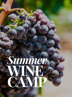 Summer Wine Camp