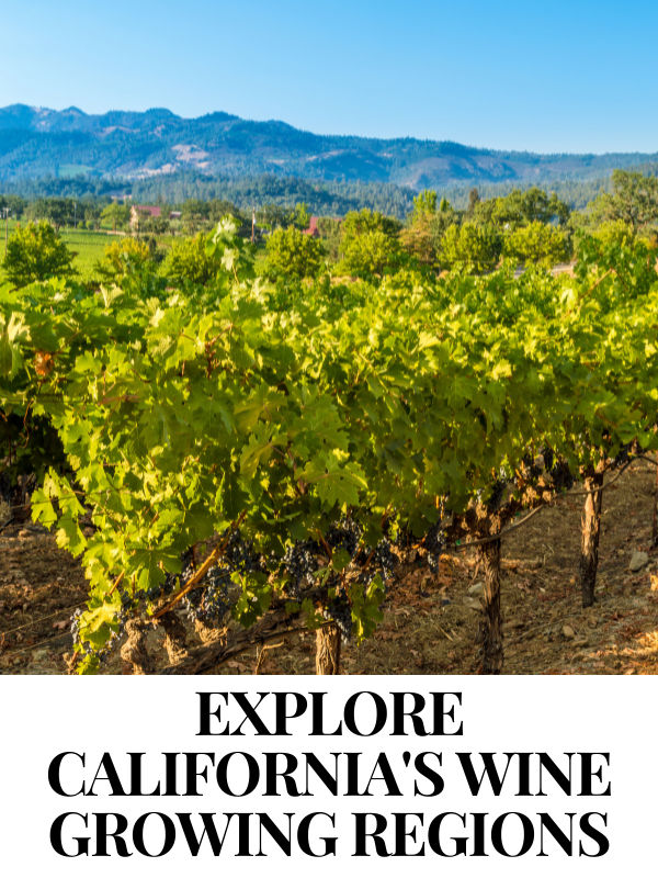 July 10 - Explore California's Wine Growing Regions