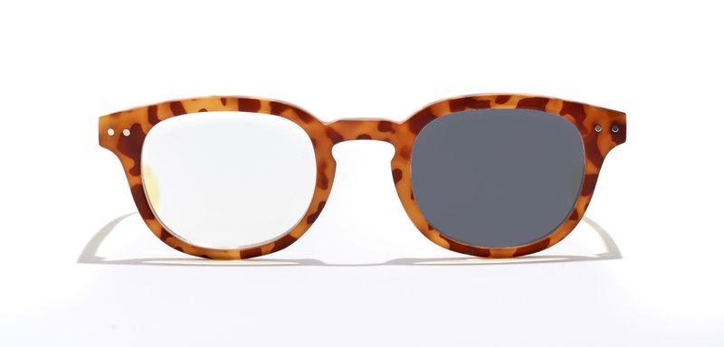Fresco Fresh-Honey Comb/Yellow
