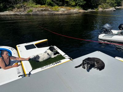 Island Dog Beach