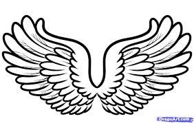 Bronze Wings