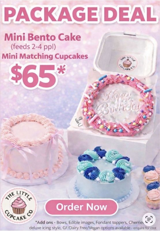 *SPECIAL* Bento Cake and 12 Mini Cupcakes.