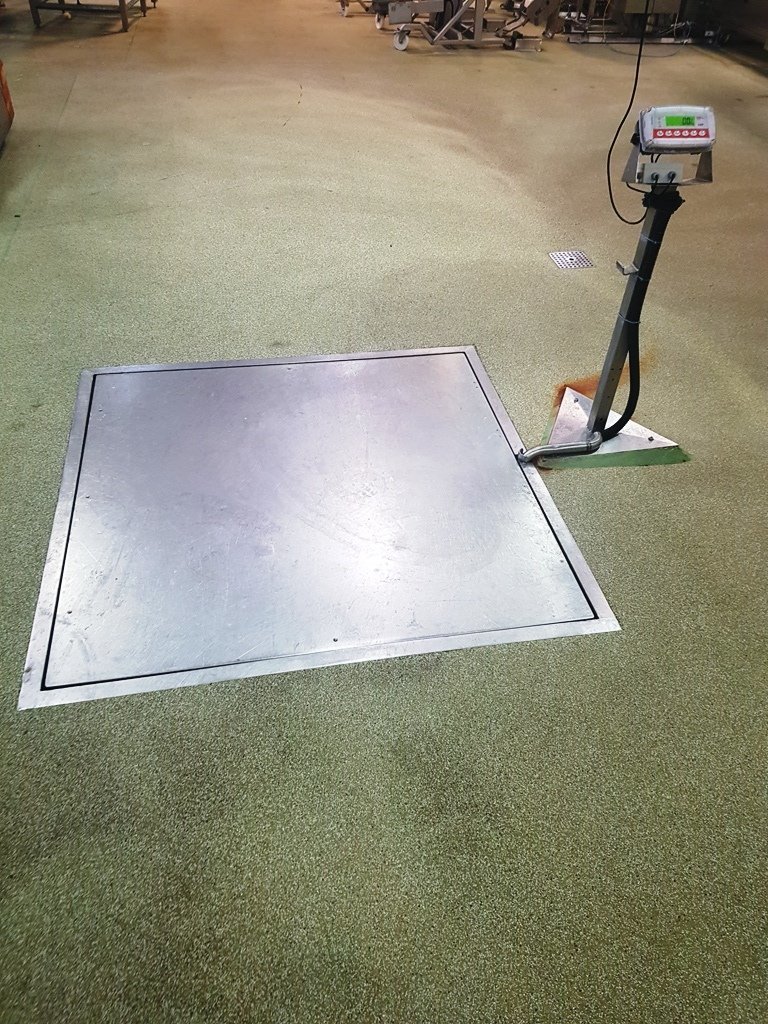 LOT 87 SCALES