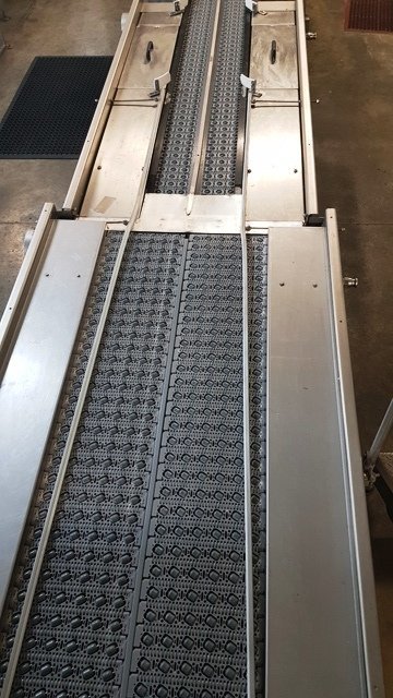 LOT 169 CONVEYOR
