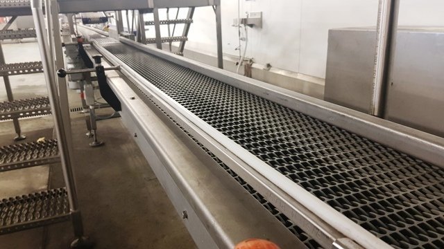 LOT 178 CONVEYOR