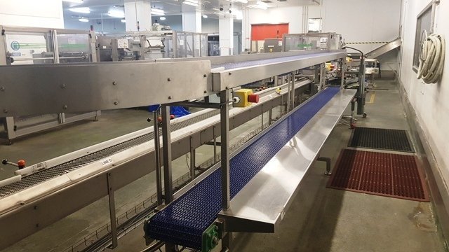 LOT 181 CONVEYOR