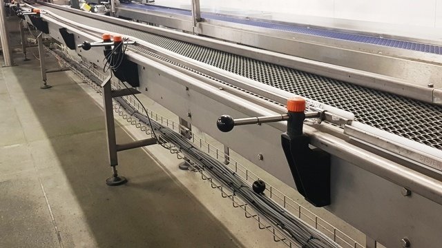 LOT 183 CONVEYOR